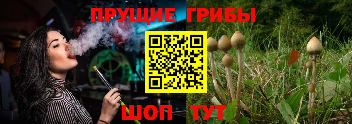 Псилоцибиновые грибы ЛСД Артёмовский