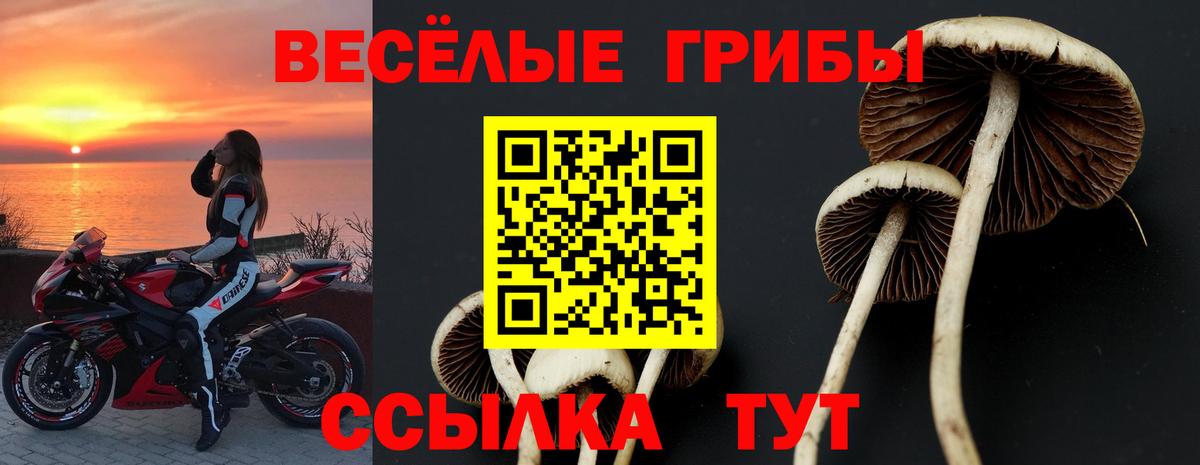 Галлюциногенные грибы прущие грибы  Псилоцибиновые грибы мицелий  Артёмовский  Вход с VPN 